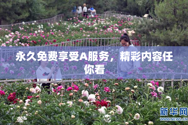 永久免费享受A服务，精彩内容任你看
