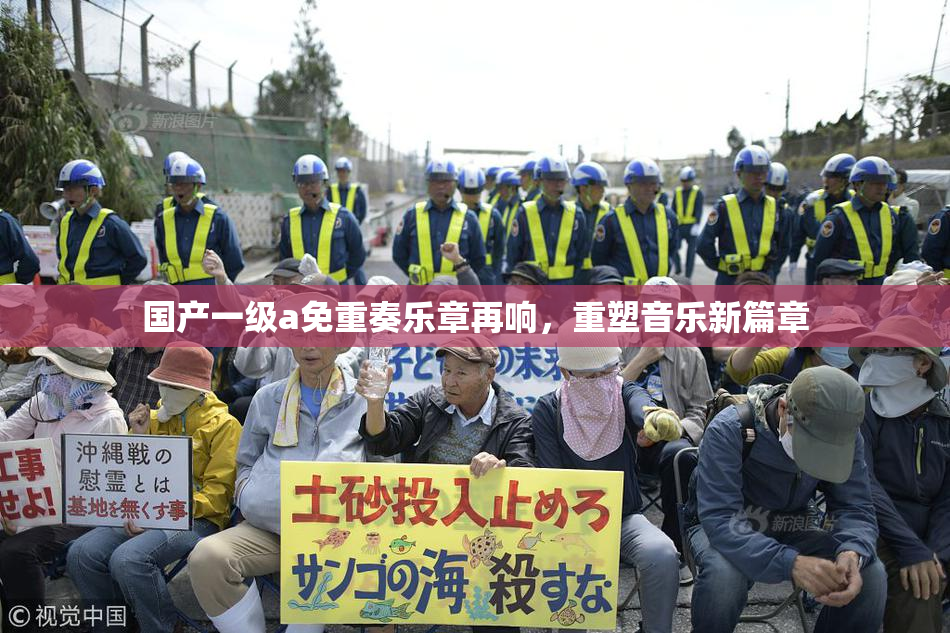 国产一级a免重奏乐章再响，重塑音乐新篇章