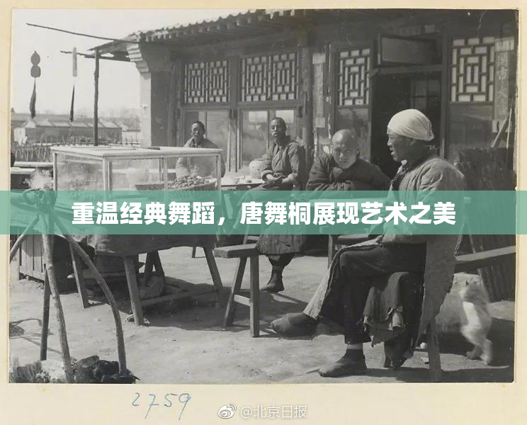 重温经典舞蹈，唐舞桐展现艺术之美