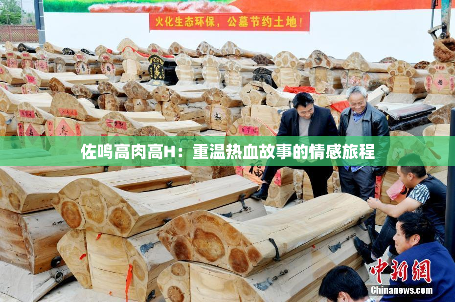 佐鸣高肉高H：重温热血故事的情感旅程