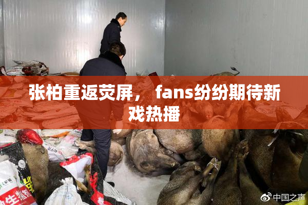 张柏重返荧屏， fans纷纷期待新戏热播