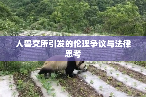 人兽交所引发的伦理争议与法律思考