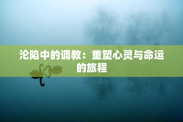 沦陷中的调教：重塑心灵与命运的旅程