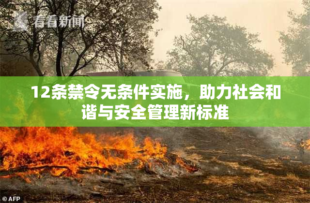12条禁令无条件实施，助力社会和谐与安全管理新标准