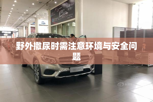 野外撒尿时需注意环境与安全问题