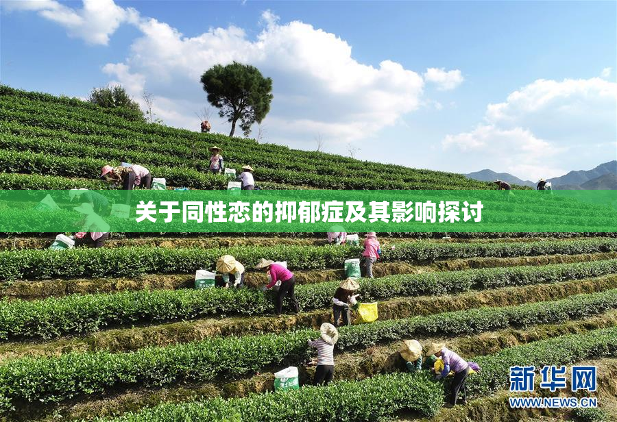 关于同性恋的抑郁症及其影响探讨