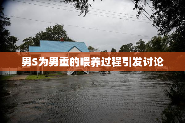 男S为男重的喂养过程引发讨论