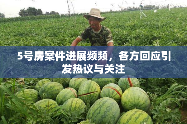 5号房案件进展频频，各方回应引发热议与关注
