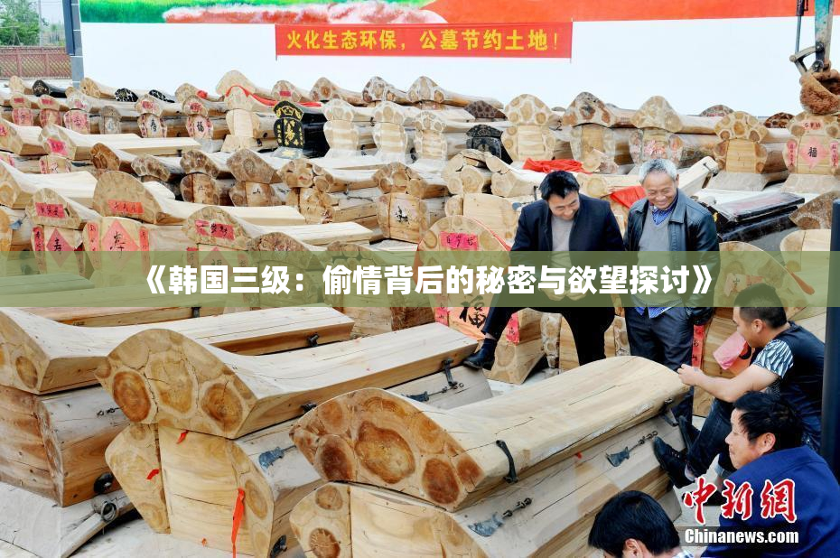 《韩国三级：偷情背后的秘密与欲望探讨》