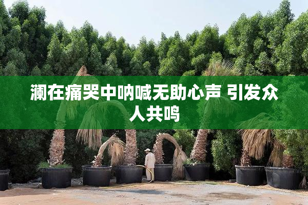 澜在痛哭中呐喊无助心声 引发众人共鸣