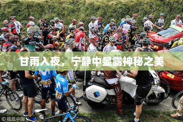 甘雨入夜，宁静中显露神秘之美