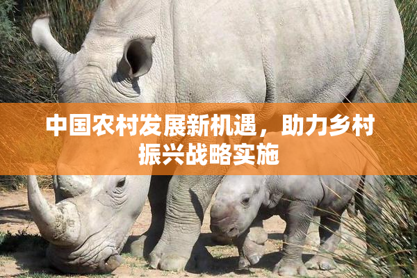 中国农村发展新机遇，助力乡村振兴战略实施
