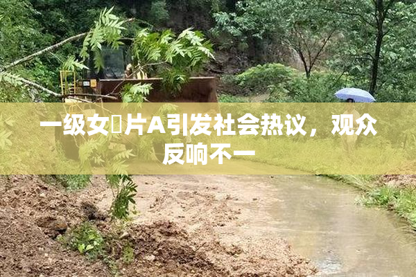 一级女婬片A引发社会热议，观众反响不一