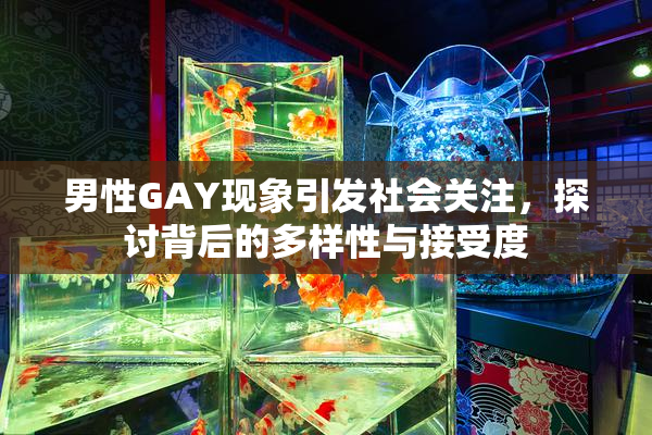男性GAY现象引发社会关注，探讨背后的多样性与接受度