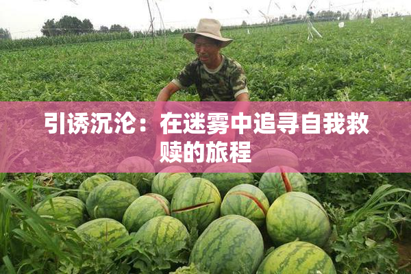 引诱沉沦：在迷雾中追寻自我救赎的旅程