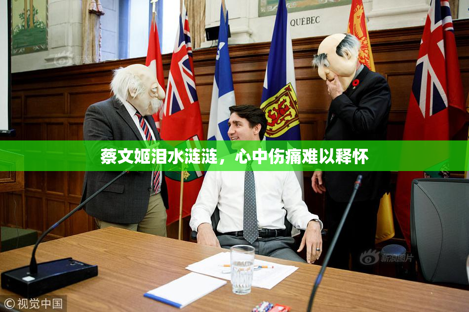 蔡文姬泪水涟涟，心中伤痛难以释怀