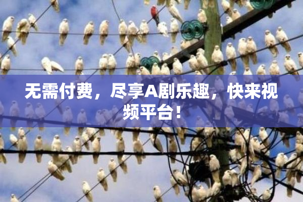 无需付费，尽享A剧乐趣，快来视频平台！