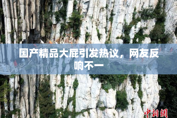 国产精品大屁引发热议，网友反响不一