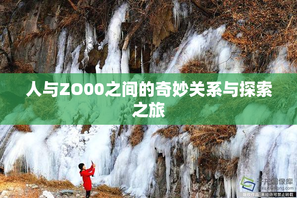 人与ZO00之间的奇妙关系与探索之旅