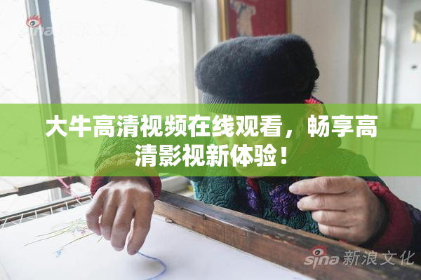 大牛高清视频在线观看，畅享高清影视新体验！
