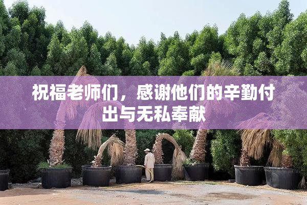 祝福老师们，感谢他们的辛勤付出与无私奉献