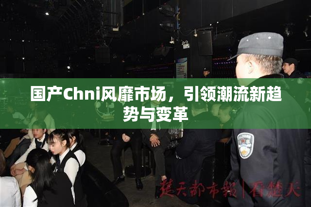 国产Chni风靡市场，引领潮流新趋势与变革