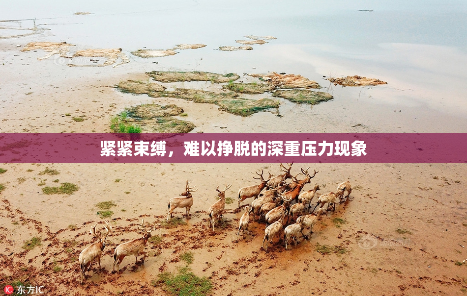 紧紧束缚，难以挣脱的深重压力现象