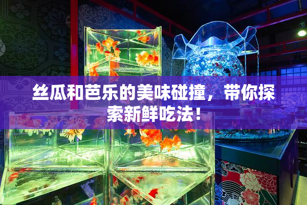 丝瓜和芭乐的美味碰撞，带你探索新鲜吃法！