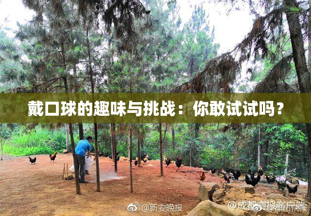 戴口球的趣味与挑战：你敢试试吗？