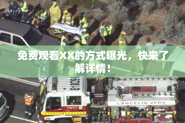 免费观看XX的方式曝光，快来了解详情！