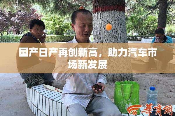 国产日产再创新高，助力汽车市场新发展