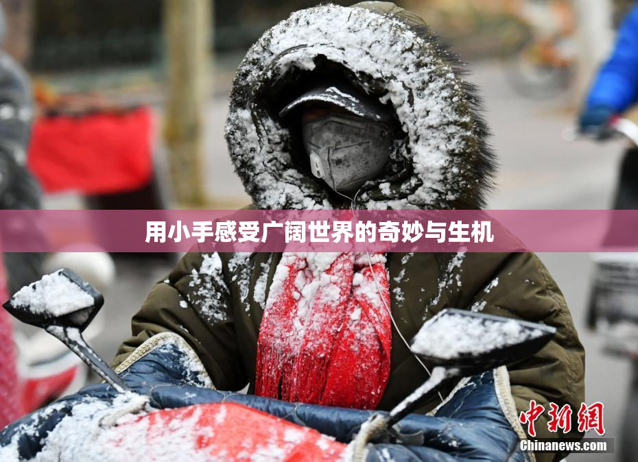 用小手感受广阔世界的奇妙与生机