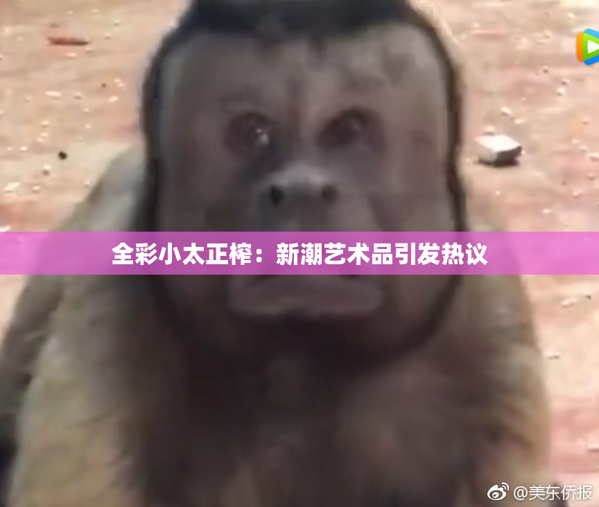 全彩小太正榨：新潮艺术品引发热议