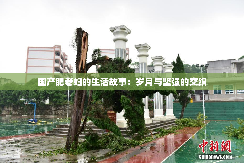 国产肥老妇的生活故事：岁月与坚强的交织