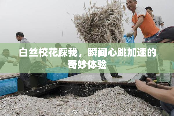 白丝校花踩我，瞬间心跳加速的奇妙体验