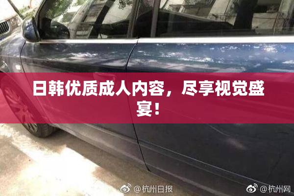 日韩优质成人内容，尽享视觉盛宴！
