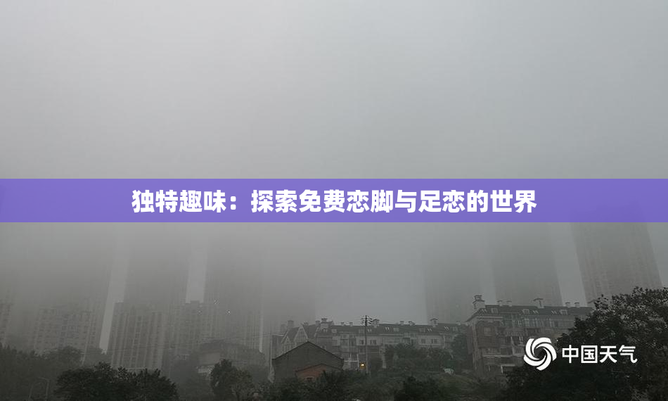 独特趣味：探索免费恋脚与足恋的世界
