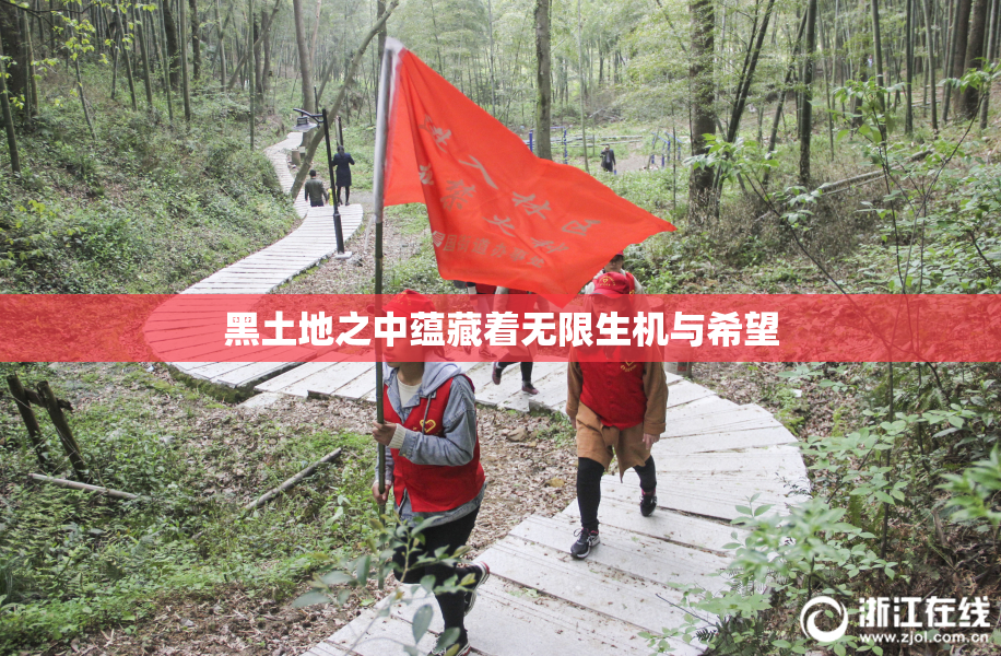 黑土地之中蕴藏着无限生机与希望