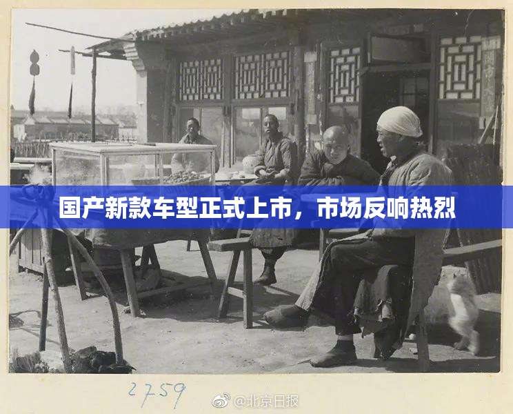国产新款车型正式上市，市场反响热烈