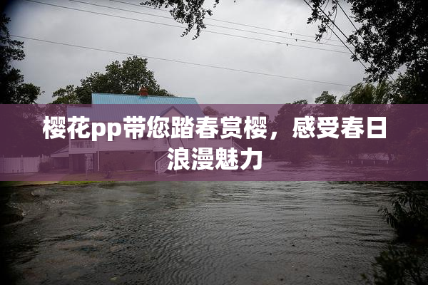 樱花pp带您踏春赏樱，感受春日浪漫魅力