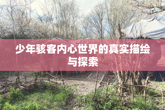 少年骇客内心世界的真实描绘与探索