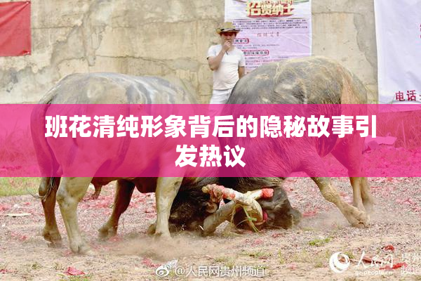 班花清纯形象背后的隐秘故事引发热议