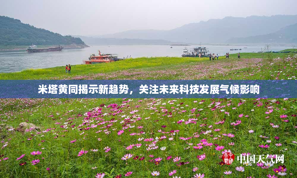 米塔黄同揭示新趋势，关注未来科技发展气候影响
