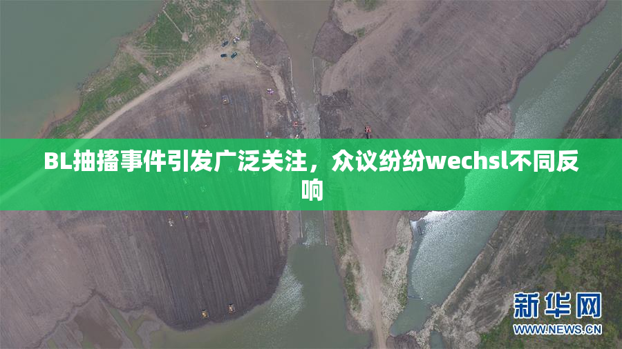 BL抽搐事件引发广泛关注，众议纷纷wechsl不同反响