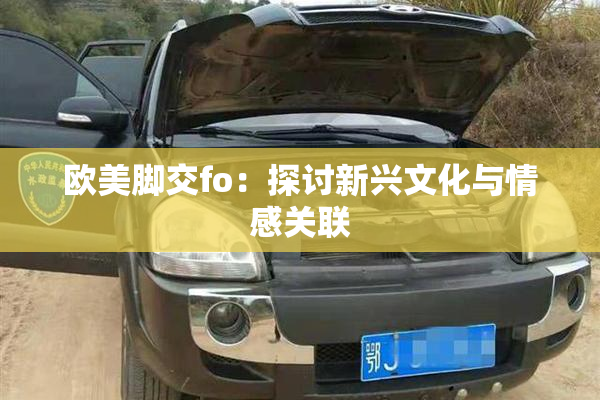 欧美脚交fo：探讨新兴文化与情感关联