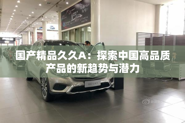 国产精品久久A：探索中国高品质产品的新趋势与潜力