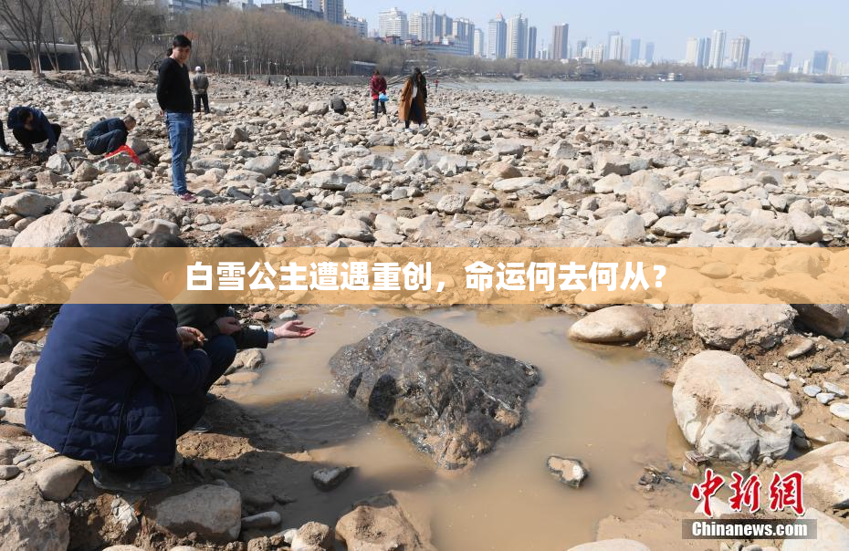 白雪公主遭遇重创，命运何去何从？