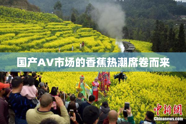 国产AV市场的香蕉热潮席卷而来