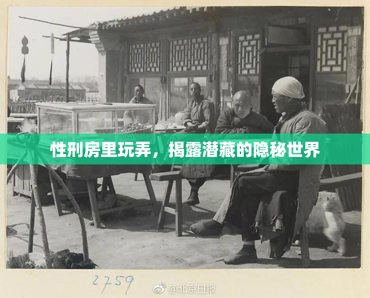 性刑房里玩弄，揭露潜藏的隐秘世界