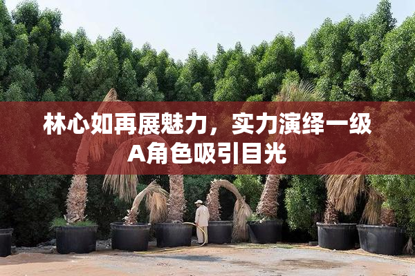 林心如再展魅力，实力演绎一级A角色吸引目光